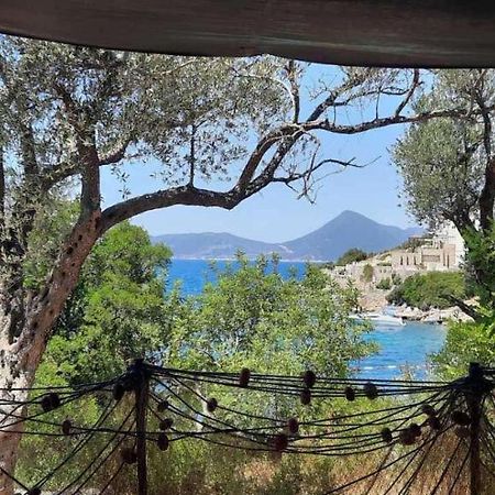 Apartmani Roganovic Luštica Exteriér fotografie