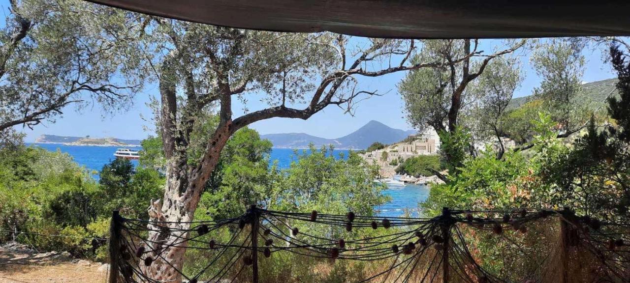 Apartmani Roganovic Luštica Exteriér fotografie